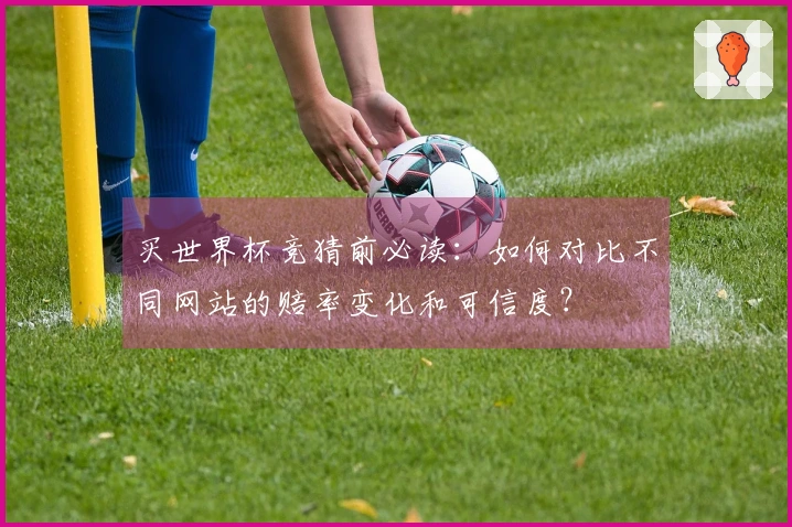 买世界杯竞猜前必读：如何对比不同网站的赔率变化和可信度？