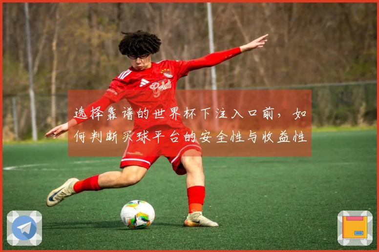 选择靠谱的世界杯下注入口前，如何判断买球平台的安全性与收益性