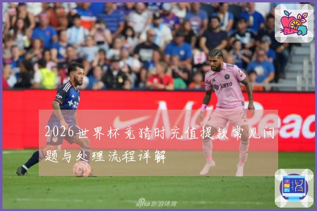2026世界杯竞猜时充值提款常见问题与处理流程详解