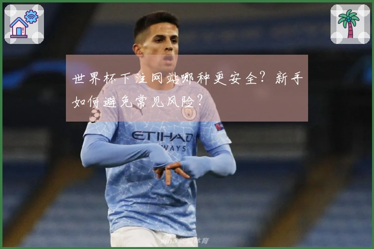 世界杯下注网站哪种更安全？新手如何避免常见风险？