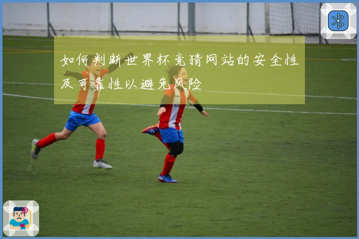 如何判断世界杯竞猜网站的安全性及可靠性以避免风险