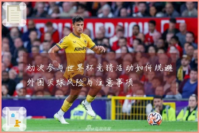 初次参与世界杯竞猜活动如何规避外围买球风险与注意事项