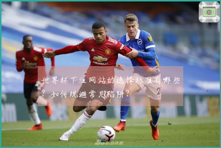 世界杯下注网站的选择标准有哪些？如何规避常见陷阱？