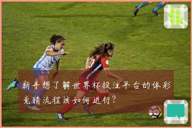 新手想了解世界杯投注平台的体彩竞猜流程该如何进行？