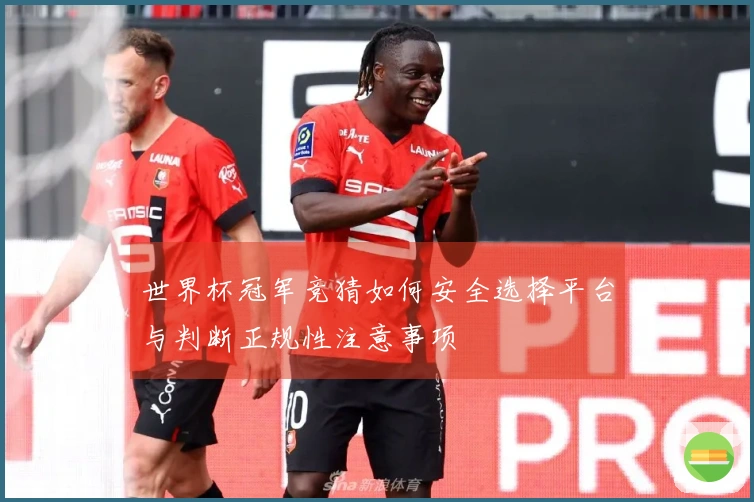 世界杯冠军竞猜如何安全选择平台与判断正规性注意事项