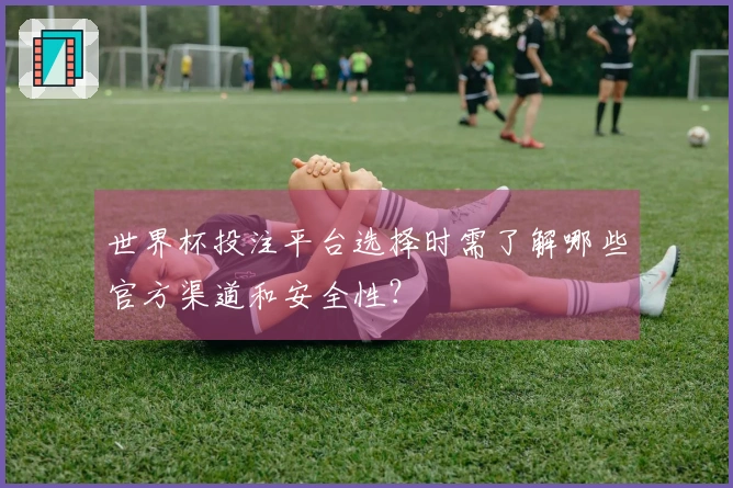 世界杯投注平台选择时需了解哪些官方渠道和安全性？