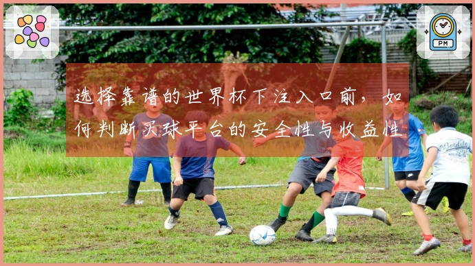 选择靠谱的世界杯下注入口前，如何判断买球平台的安全性与收益性