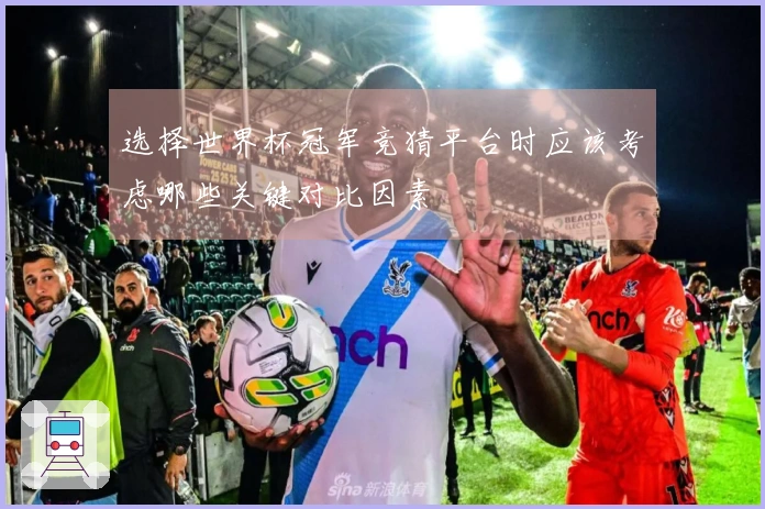 选择世界杯冠军竞猜平台时应该考虑哪些关键对比因素
