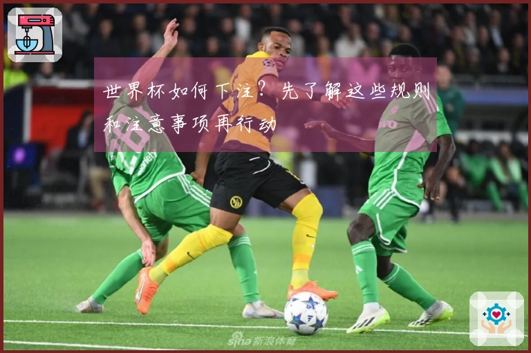世界杯如何下注？先了解这些规则和注意事项再行动