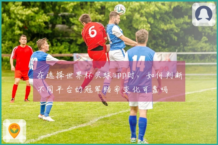 在选择世界杯买球app时，如何判断不同平台的冠军赔率变化可靠吗
