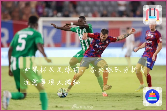 世界杯买足球前，各大球队分析与注意事项大揭秘