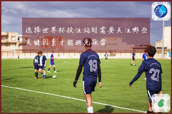 选择世界杯投注站时需要关注哪些关键因素才能避免踩雷
