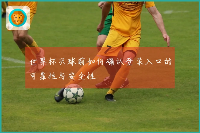 世界杯买球前如何确认登录入口的可靠性与安全性