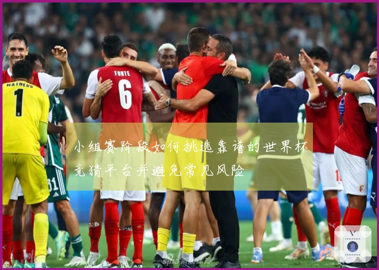 小组赛阶段如何挑选靠谱的世界杯竞猜平台并避免常见风险
