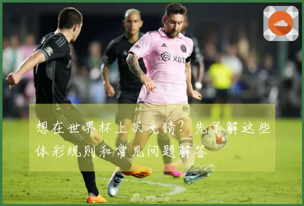 想在世界杯上买竞猜？先了解这些体彩规则和常见问题解答