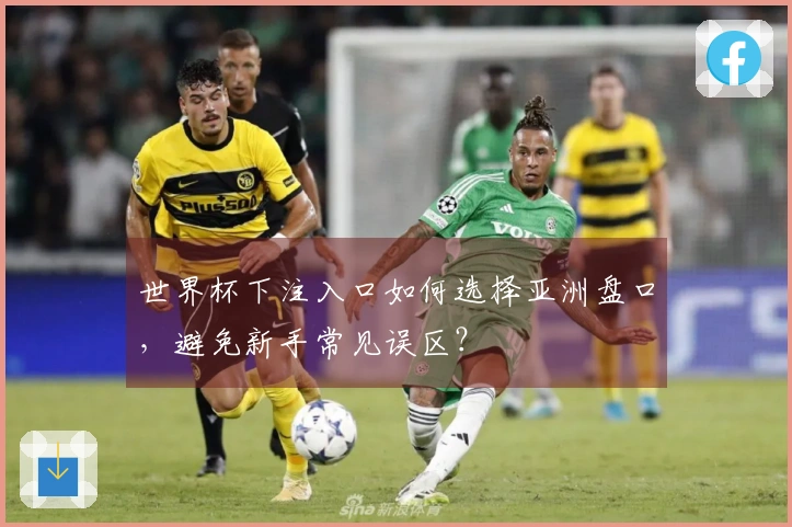 世界杯下注入口如何选择亚洲盘口，避免新手常见误区？