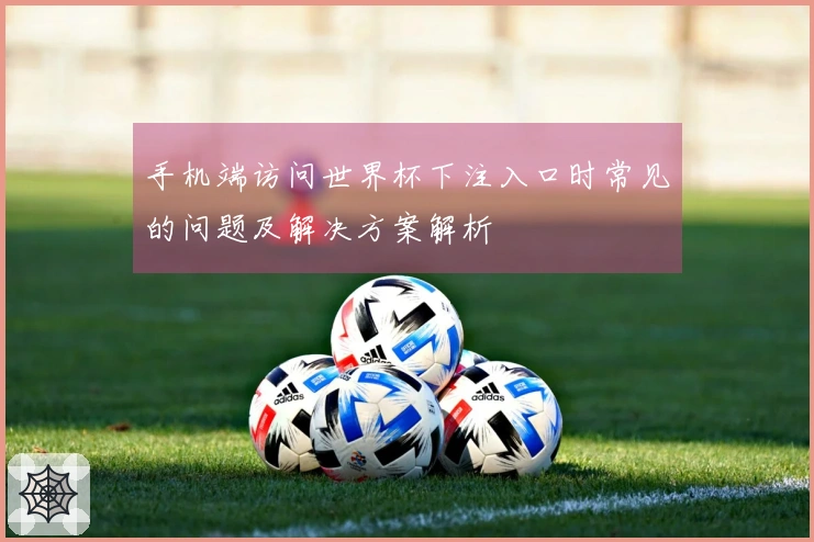 手机端访问世界杯下注入口时常见的问题及解决方案解析