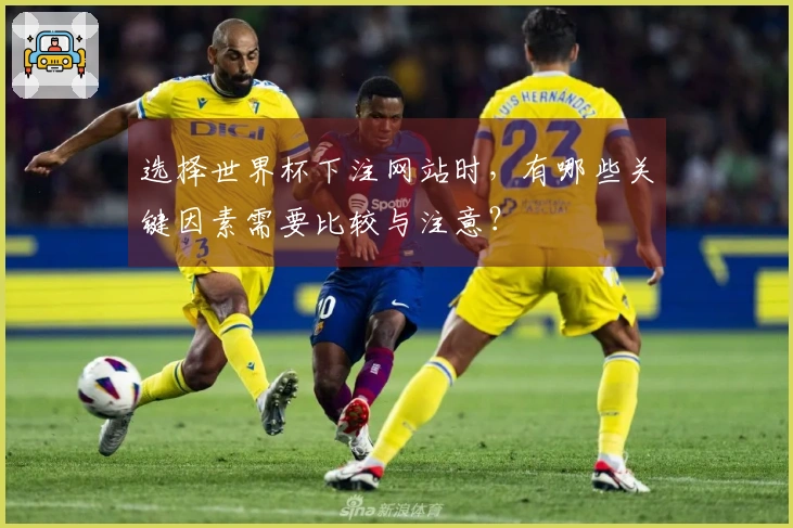选择世界杯下注网站时，有哪些关键因素需要比较与注意？