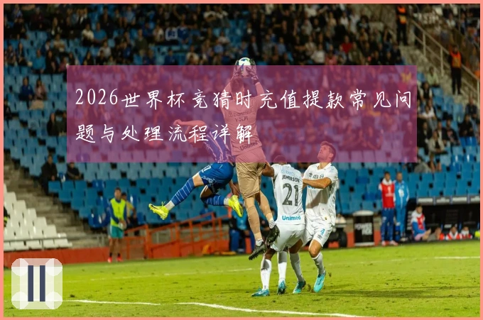 2026世界杯竞猜时充值提款常见问题与处理流程详解