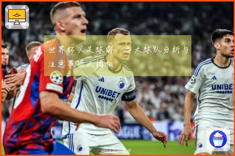 世界杯买足球前，各大球队分析与注意事项大揭秘