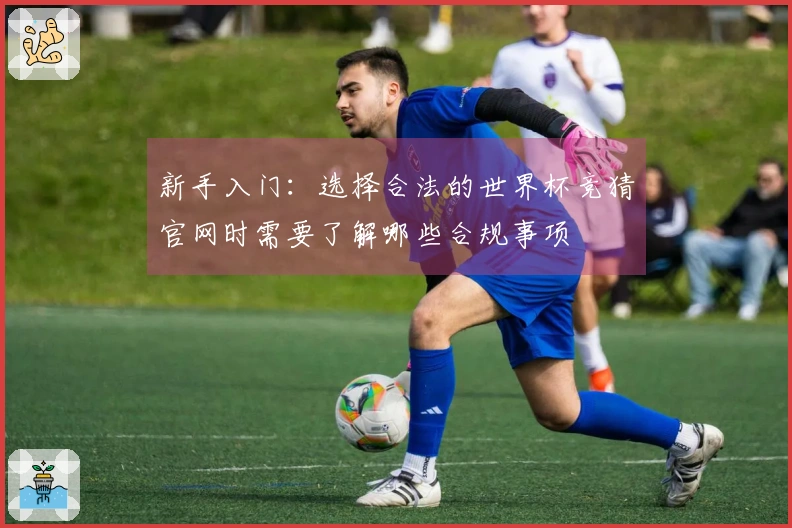 新手入门：选择合法的世界杯竞猜官网时需要了解哪些合规事项