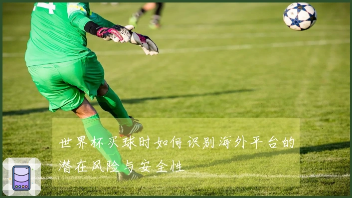 世界杯买球时如何识别海外平台的潜在风险与安全性