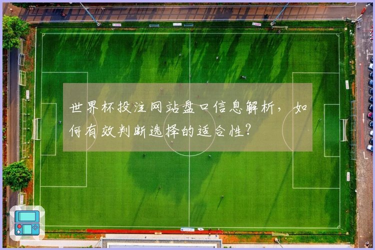 世界杯投注网站盘口信息解析，如何有效判断选择的适合性？