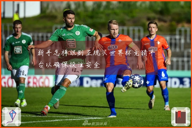 新手怎样识别正规买世界杯竞猜平台以确保投注安全