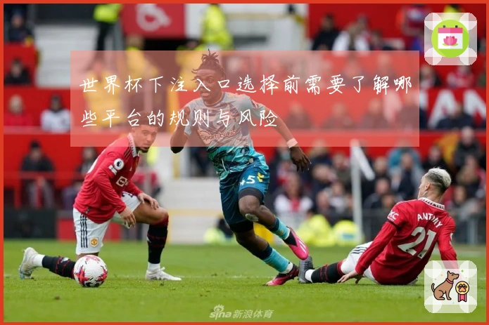世界杯下注入口选择前需要了解哪些平台的规则与风险