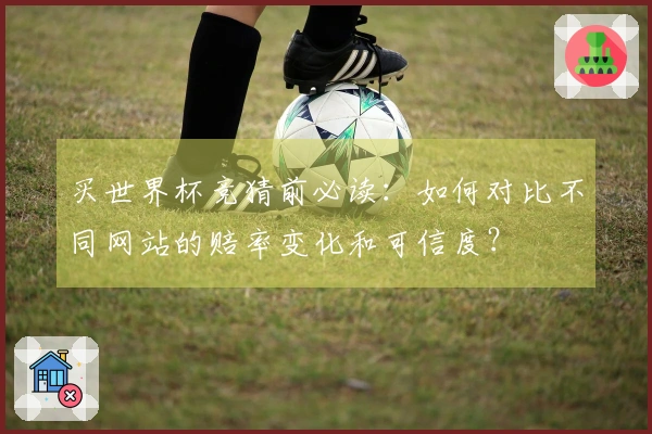 买世界杯竞猜前必读：如何对比不同网站的赔率变化和可信度？