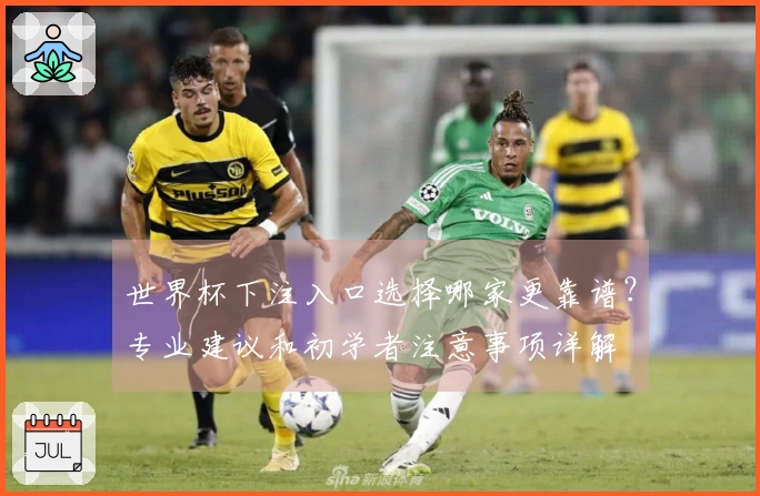 世界杯下注入口选择哪家更靠谱？专业建议和初学者注意事项详解