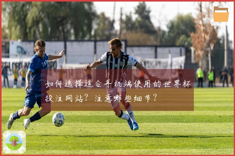 如何选择适合手机端使用的世界杯投注网站？注意哪些细节？
