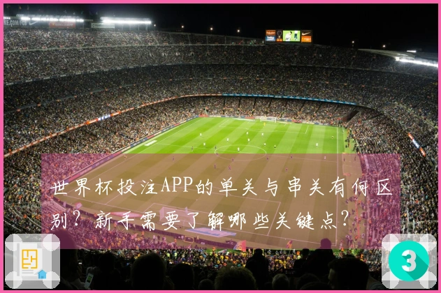 世界杯投注APP的单关与串关有何区别？新手需要了解哪些关键点？