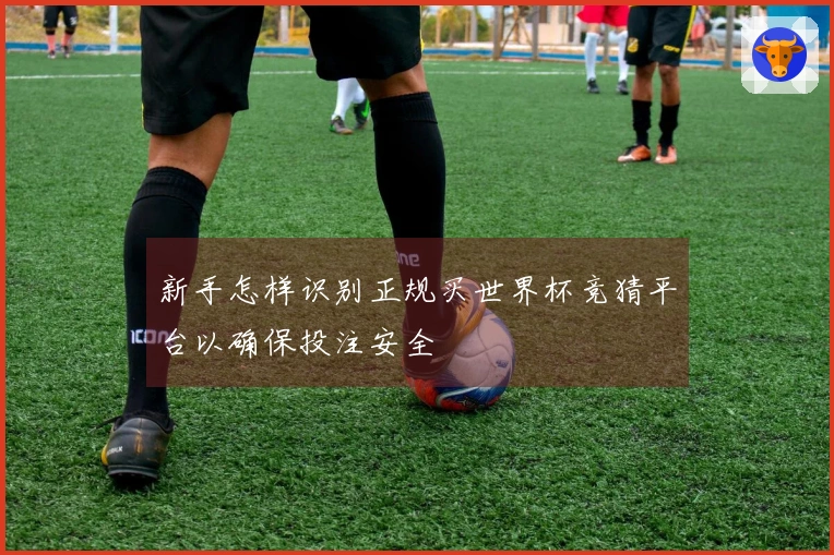 新手怎样识别正规买世界杯竞猜平台以确保投注安全