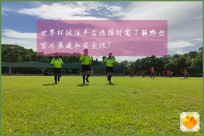 世界杯投注平台选择时需了解哪些官方渠道和安全性？