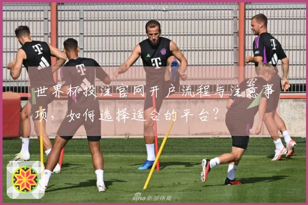 世界杯投注官网开户流程与注意事项，如何选择适合的平台？