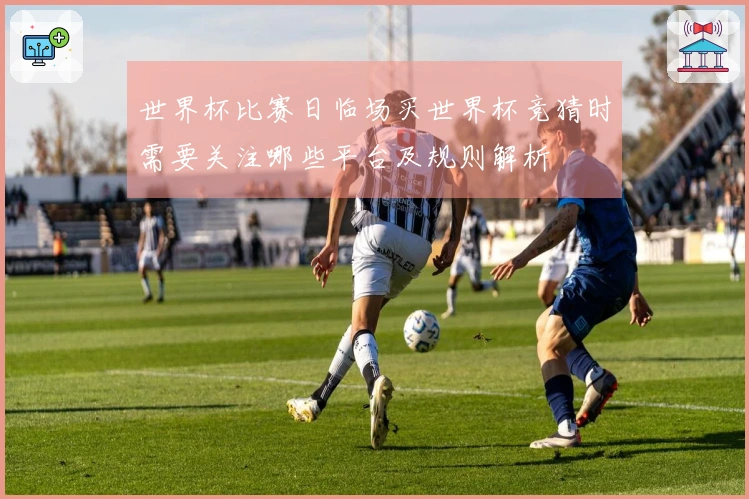 世界杯比赛日临场买世界杯竞猜时需要关注哪些平台及规则解析