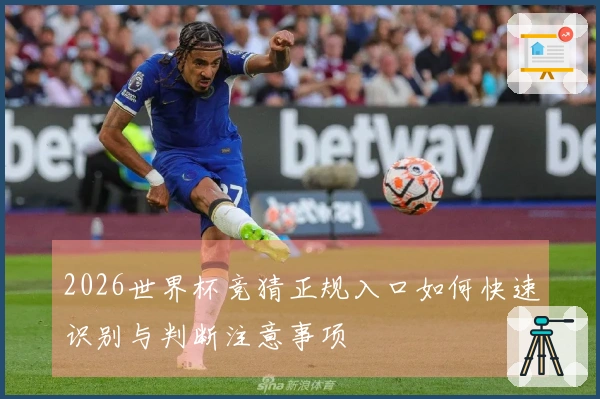 2026世界杯竞猜正规入口如何快速识别与判断注意事项