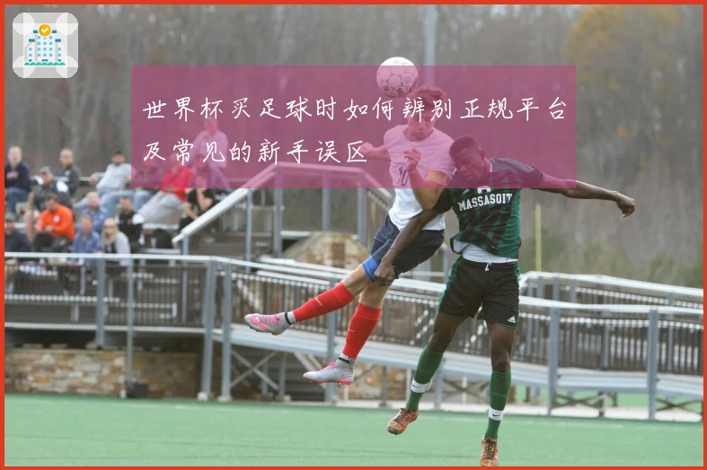 世界杯买足球时如何辨别正规平台及常见的新手误区